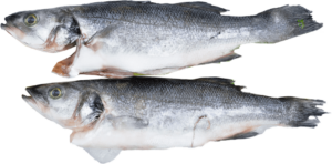 Branzino (tengeri sügér)