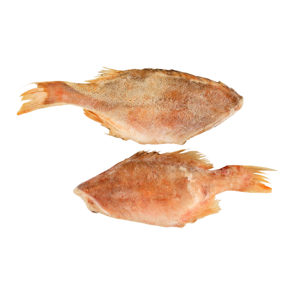Tengeri vörös sügér 500/1000 (fej nélkül)