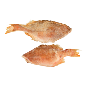 Tengeri vörös sügér 500/1000 (fej nélkül)